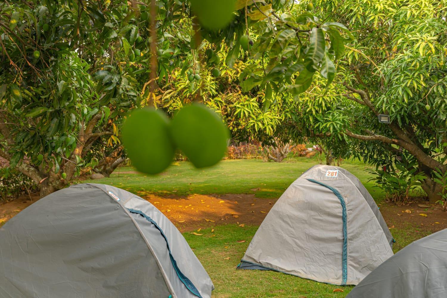 Q Mango Resort Rāmanagaram Εξωτερικό φωτογραφία